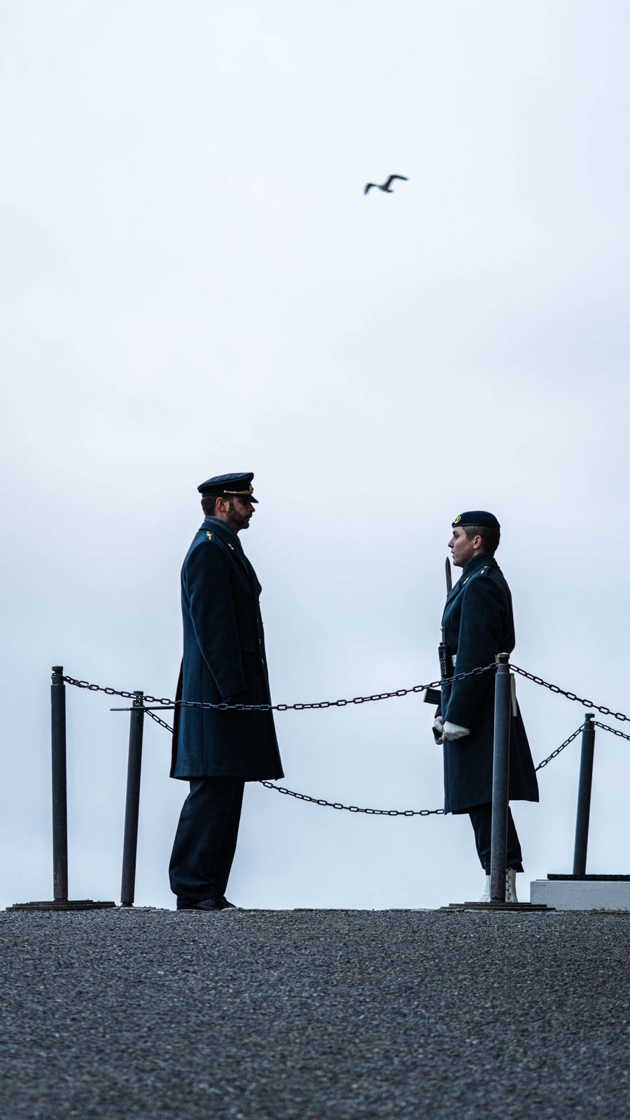 Two guards in conversation under a pale sky, a gull passing