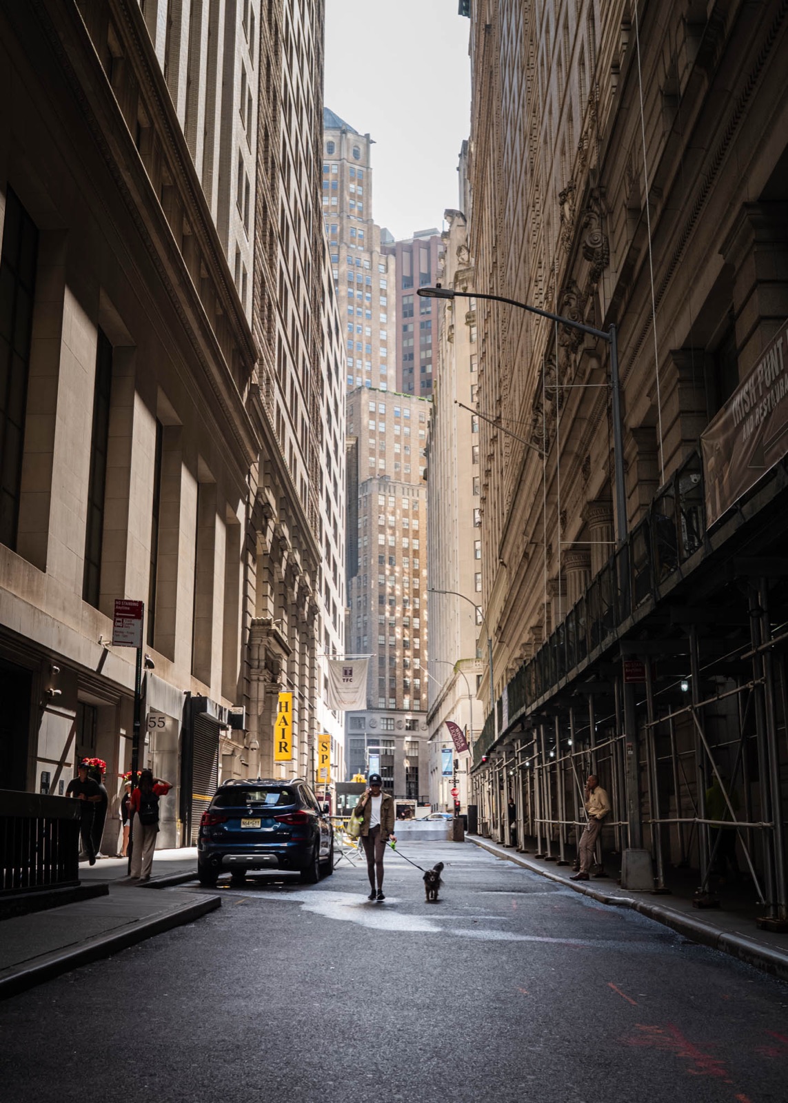 Street canyon in Manhattan, a dog being walked against the light